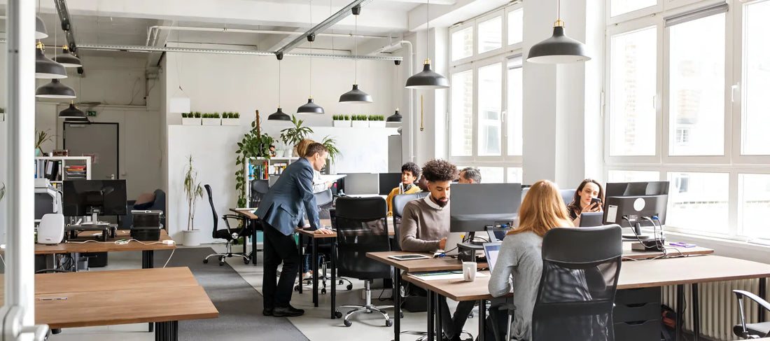 The Best Office Furniture for Employee Productivity